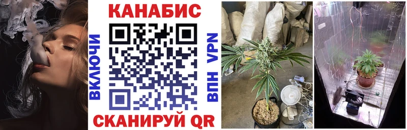 купить  сайты  Таштагол  Конопля план 